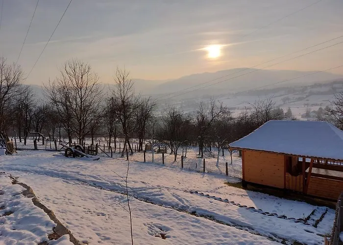 Seosko Domacinstvo Alababa * Kosjeric